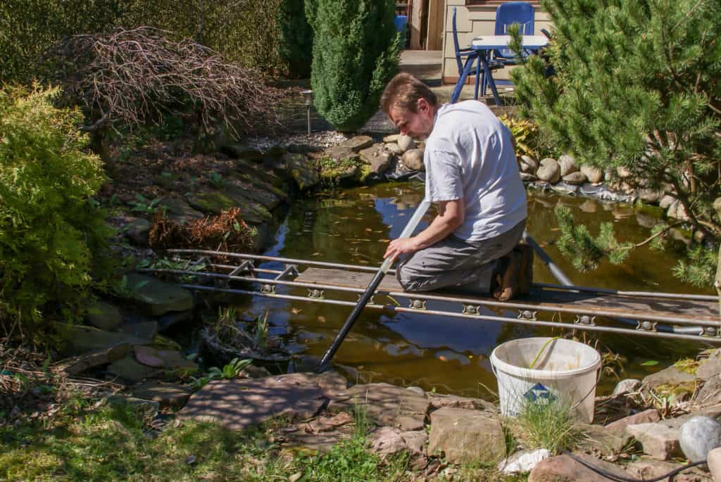 Formation of pond sludge and how you can remove it