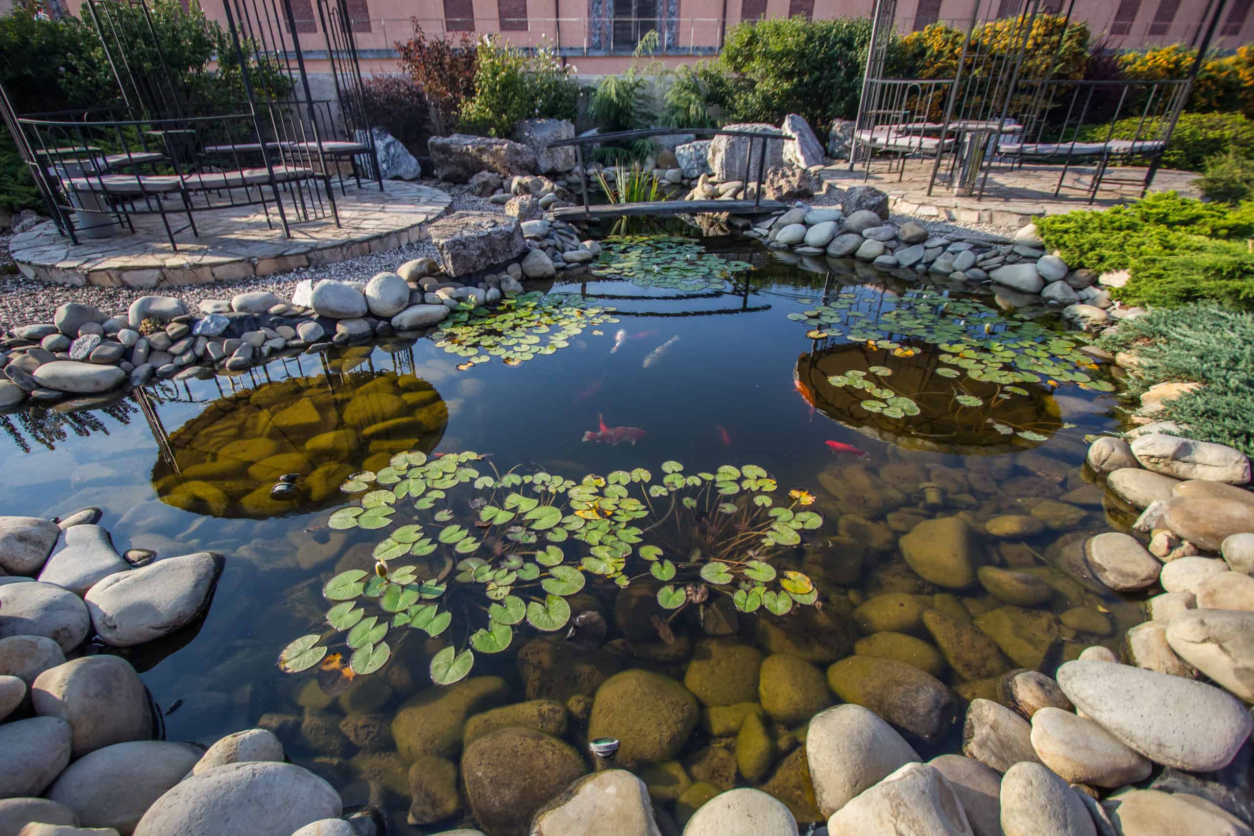 Nine Different Types Of Ponds For Your Garden Pondlovers