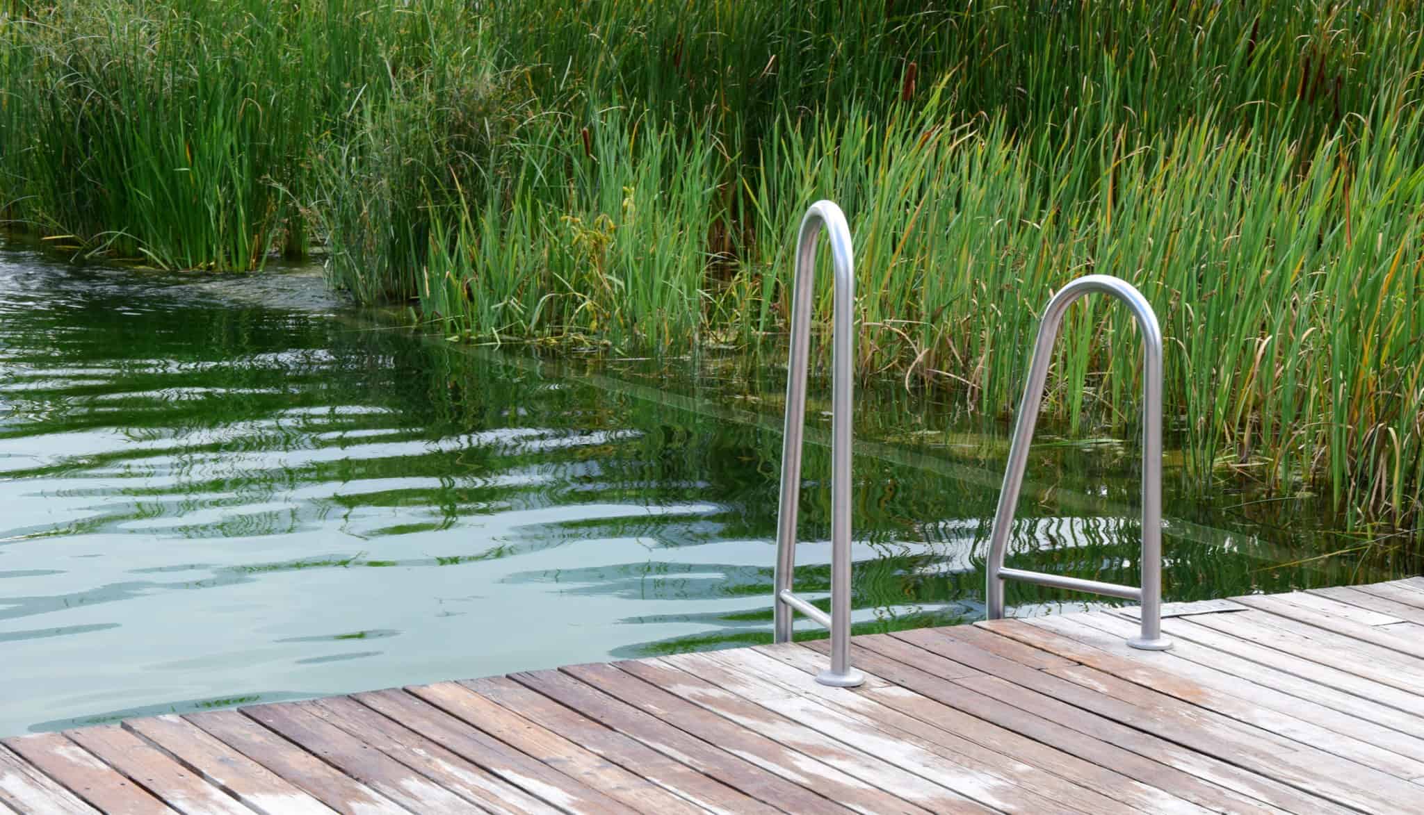 swimming pond construction